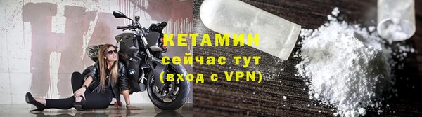трава Ельня