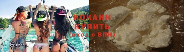 трава Ельня