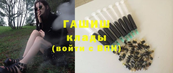 шишки Елизово