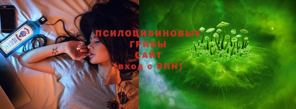 шишки Елизово