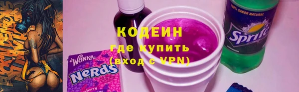 трава Ельня