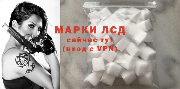 индика Заволжск