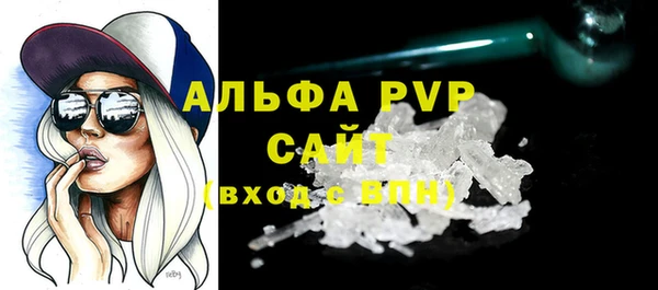 трава Ельня