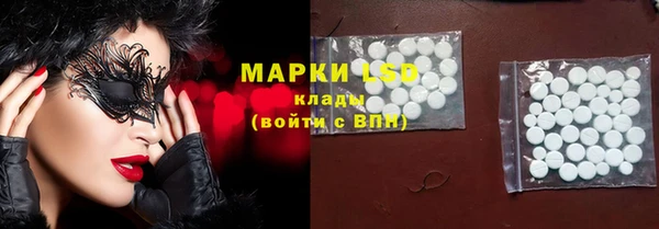 трава Ельня