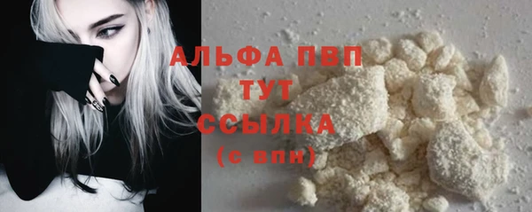 шишки Елизово