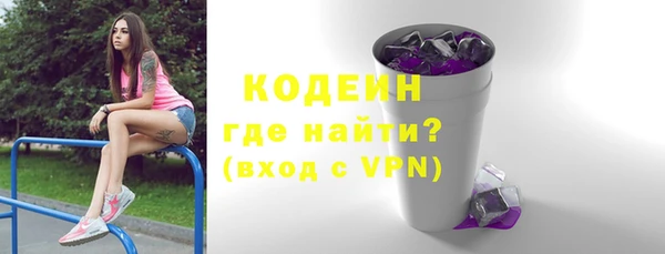 трава Ельня
