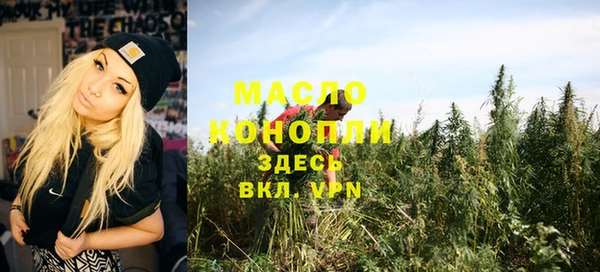 шишки Елизово