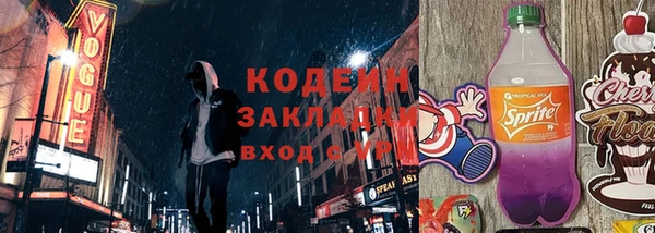 шишки Елизово
