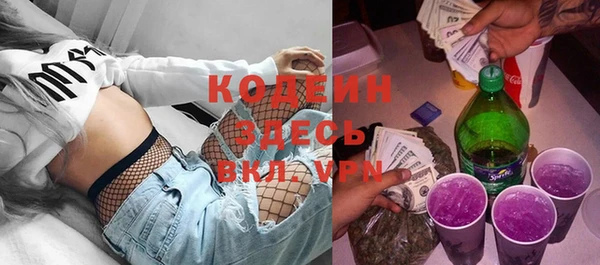трава Ельня