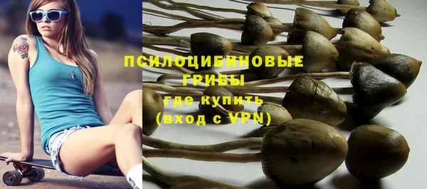 шишки Елизово