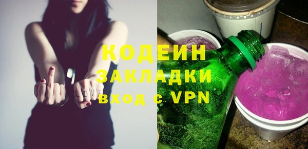 шишки Елизово