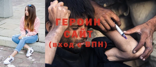 трава Ельня