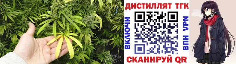 Дистиллят ТГК Wax  Купить где  Нытва 